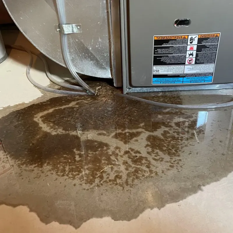 Pipe Burst and Leak Restoration in Hockessin, DE